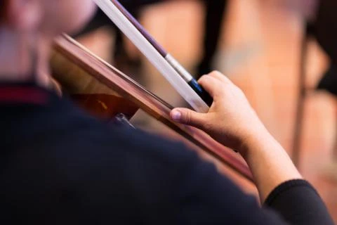 Förderverein Brandenburger Symphoniker e.V./Ausrichter der Brandenburger Biennale